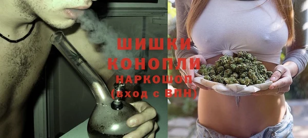 ПСИЛОЦИБИНОВЫЕ ГРИБЫ Алзамай