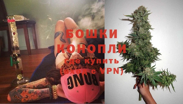 гашик Аркадак