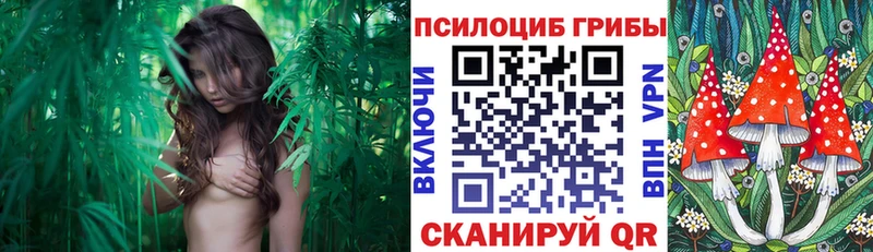 Галлюциногенные грибы прущие грибы как найти наркотики Добрянка